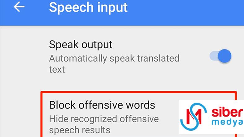 Google Translate Tüyoları