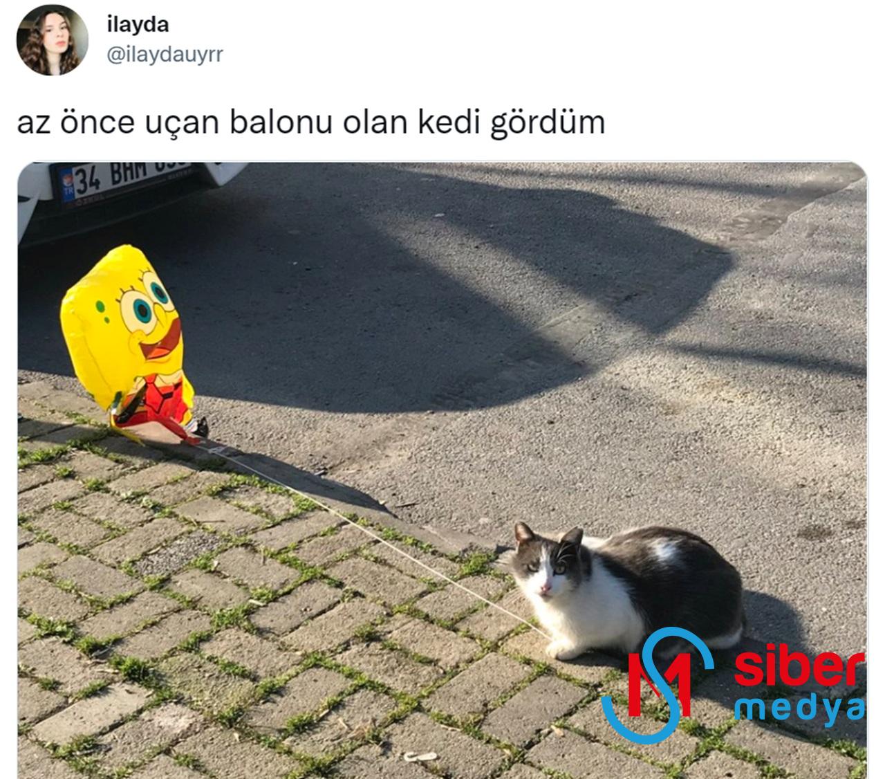 Sizi Kahkahalara Boğacak Çok Eğlenceli Tweet'ler