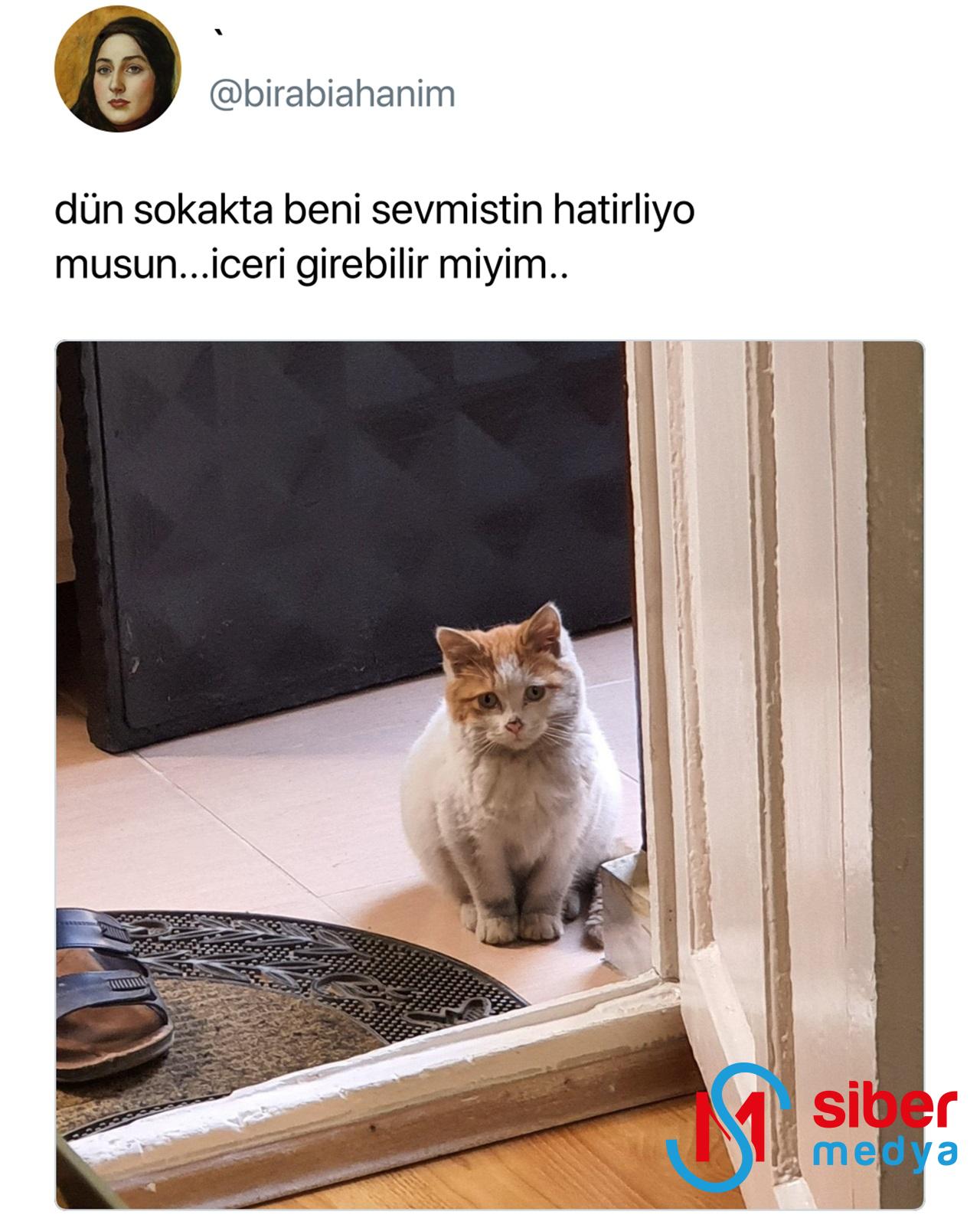 Sizi Kahkahalara Boğacak Çok Eğlenceli Tweet'ler