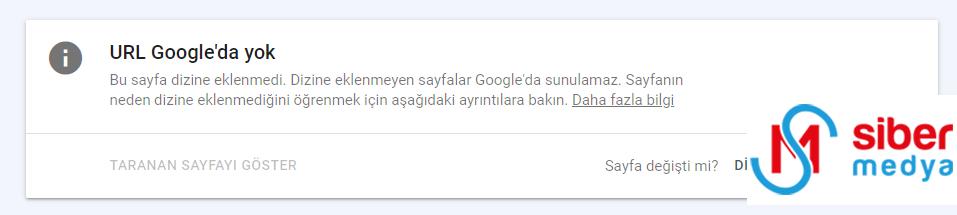 sayfanın indeksten çıkarılması