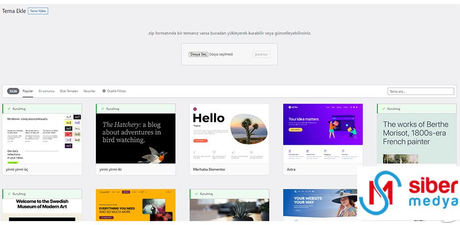 wordpress teması yüklemek