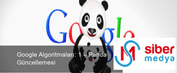 Google Algoritmaları: 1 – Panda Güncellemesi