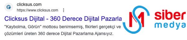 google' da site adı