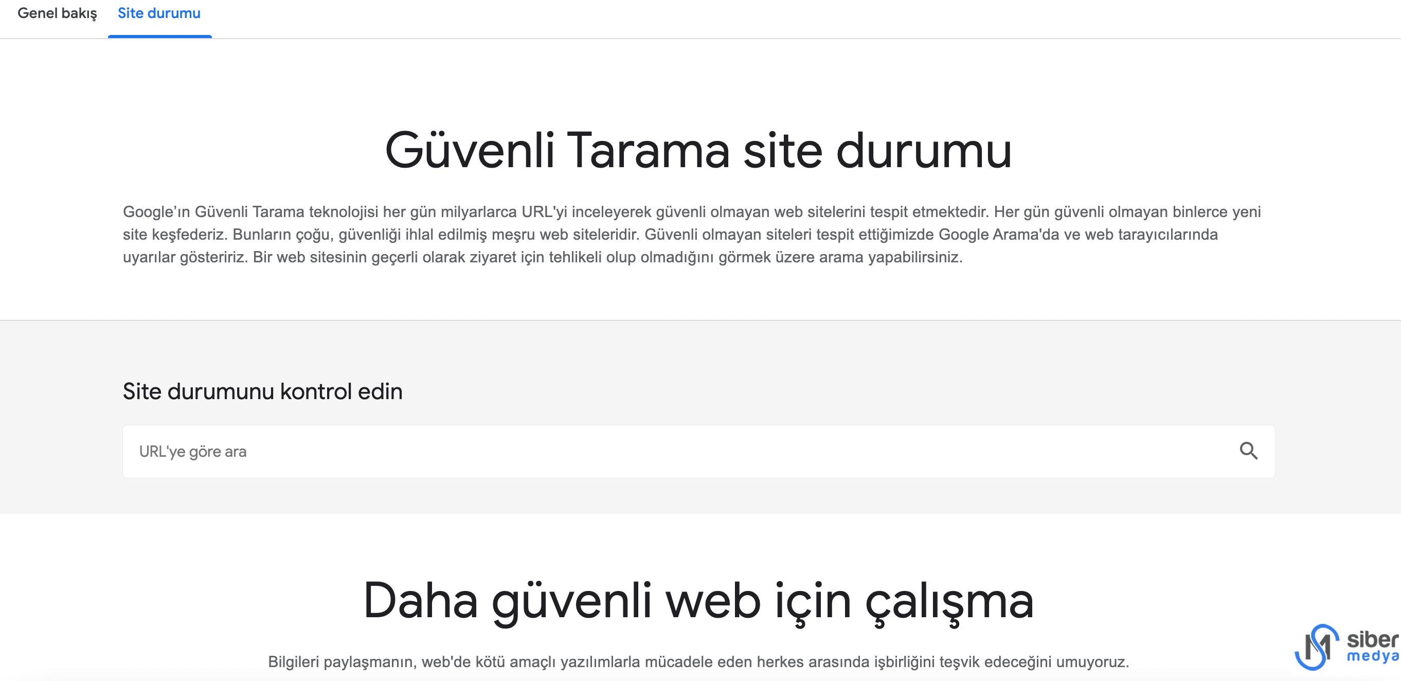 Google Şeffaflık Raporu