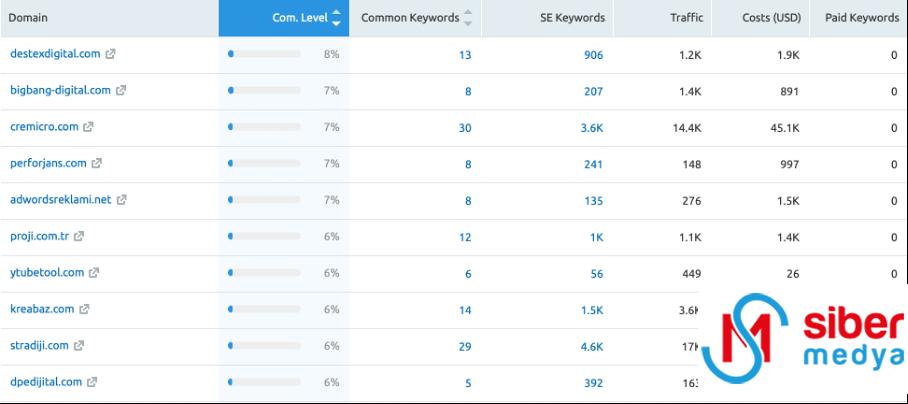 semrush-anahtar-kelime-raporu