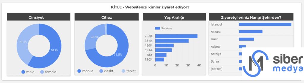  google data studio raporu